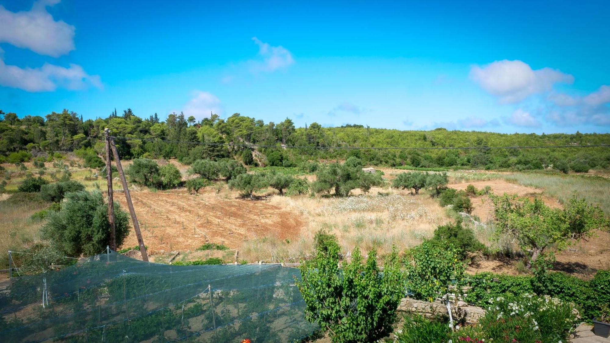 Fterini Apartments Sterna & Alletri Agios Leon Екстериор снимка